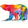 rainbowbear5213